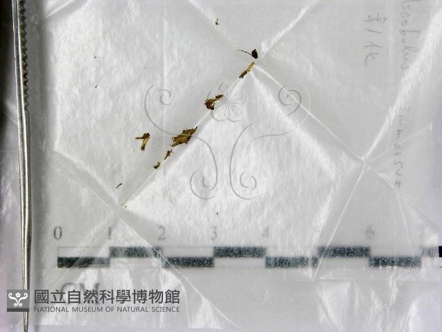 登錄號:F0003438藏品圖，第1張