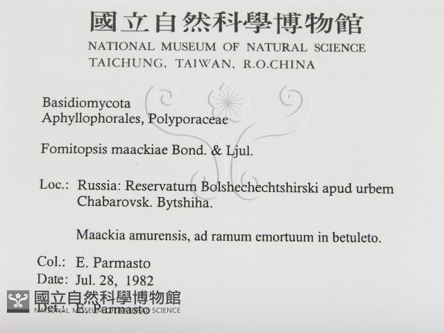 登錄號:F0015738藏品圖，第3張