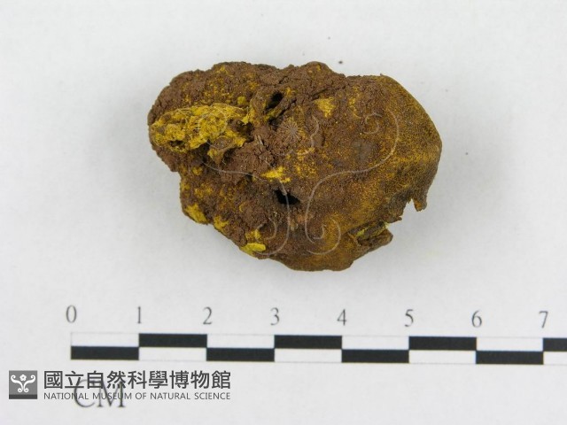 登錄號:F0010138藏品圖，第1張