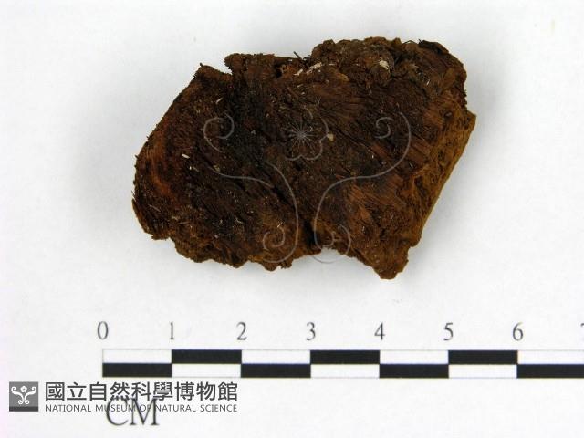 登錄號:F0006138藏品圖，第1張