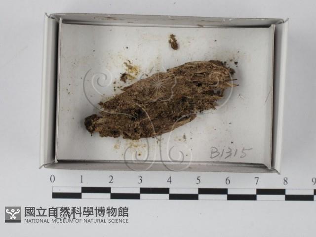 登錄號:F0021138藏品圖，第1張