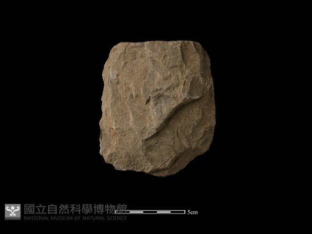 斧鋤形器藏品圖，第2張