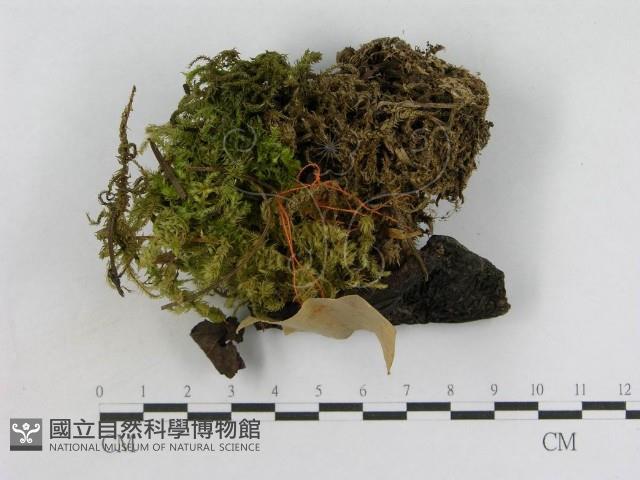 登錄號:F0017038藏品圖，第1張