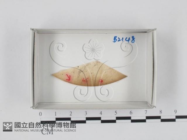 登錄號:F0018338藏品圖，第1張