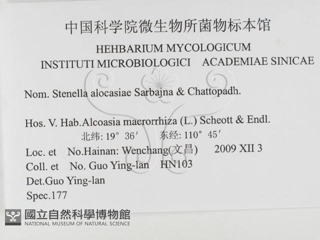 登錄號:F0026338藏品圖，第3張