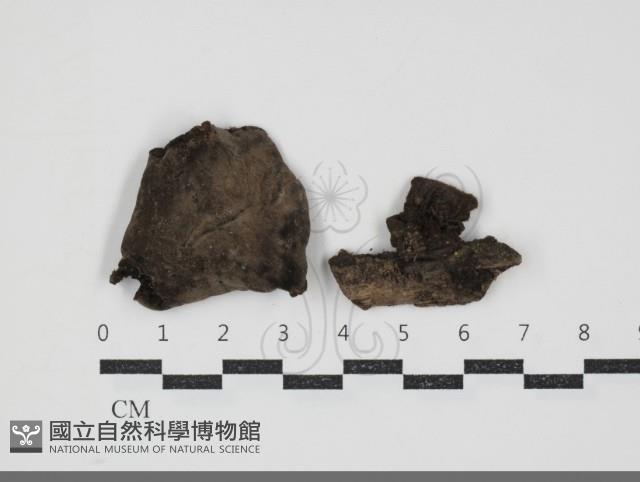 登錄號:F0032338藏品圖，第1張