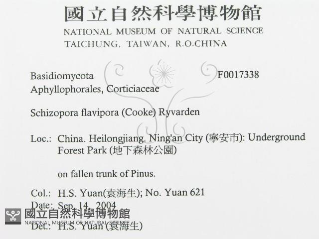 登錄號:F0017338藏品圖，第3張