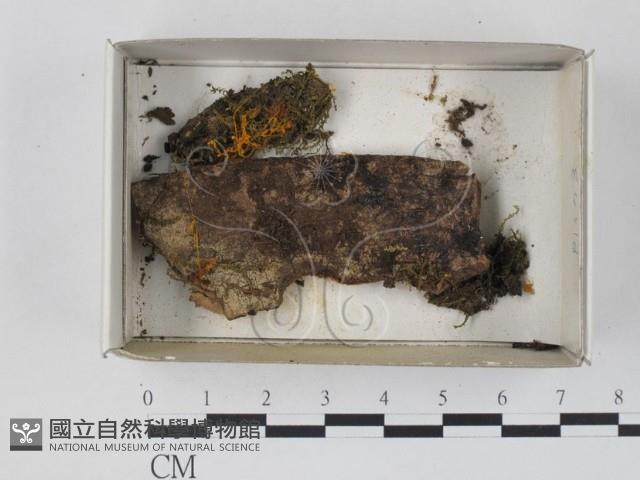 登錄號:F0018278藏品圖，第1張