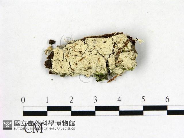 登錄號:F0015278藏品圖，第1張