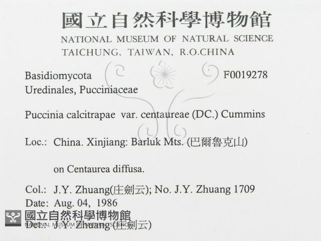 登錄號:F0019278藏品圖，第3張