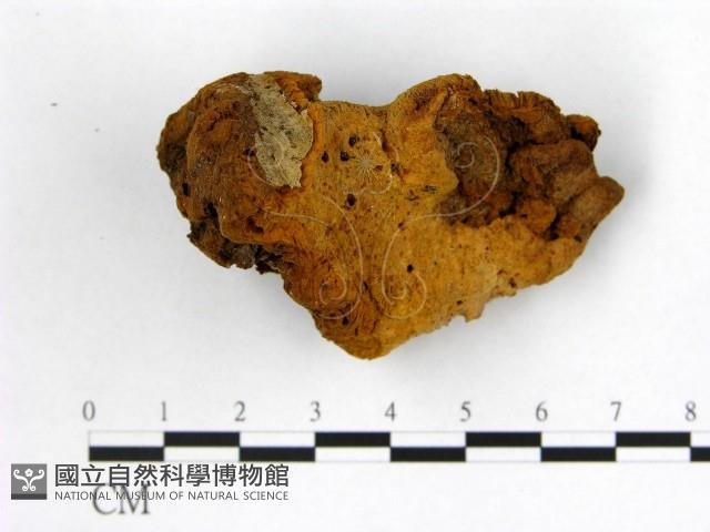 登錄號:F0018878藏品圖，第1張