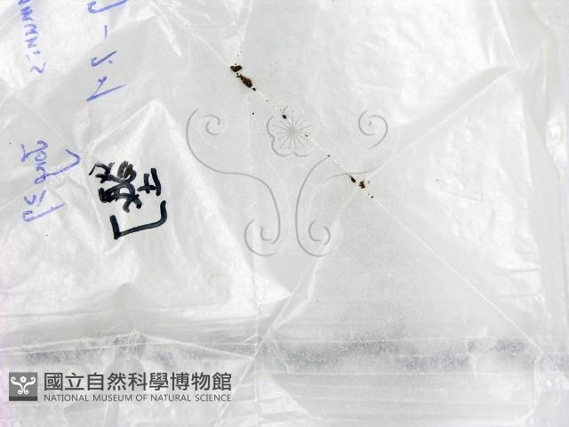 登錄號:F0016878藏品圖，第1張