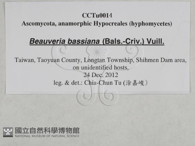 登錄號:F0027878藏品圖，第3張