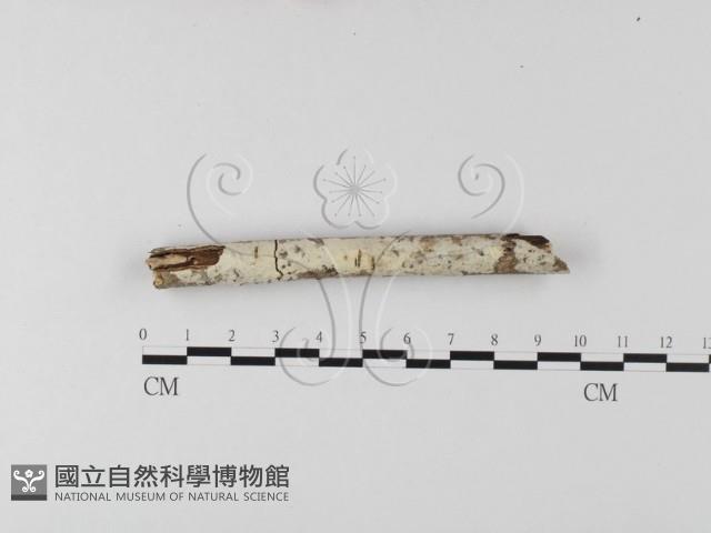 登錄號:F0007878藏品圖，第1張