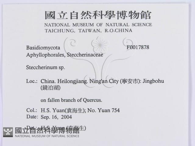 登錄號:F0017878藏品圖，第3張