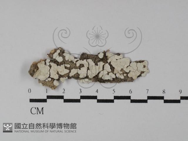 登錄號:F0029878藏品圖，第1張