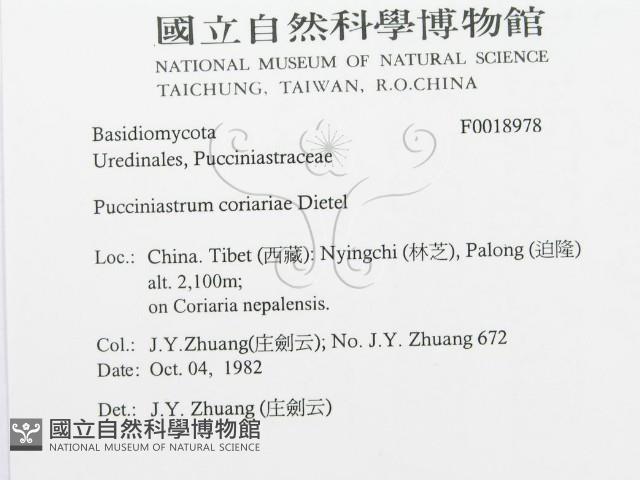 登錄號:F0018978藏品圖，第3張