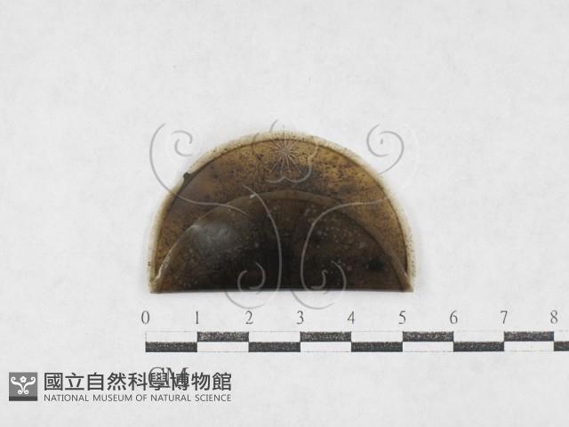 登錄號:F0026978藏品圖，第1張