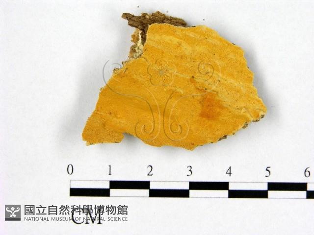 登錄號:F0006978藏品圖，第1張