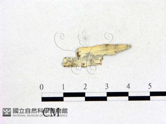 登錄號:F0016978藏品圖，第1張