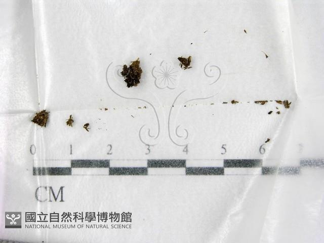 登錄號:F0001978藏品圖，第1張