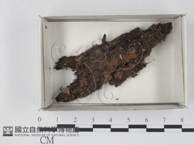 登錄號:F0017978藏品圖，第1張