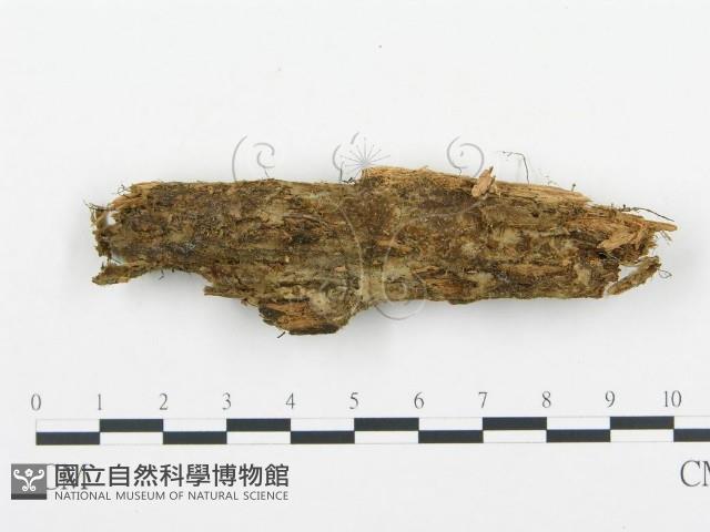 登錄號:F0003978藏品圖，第1張