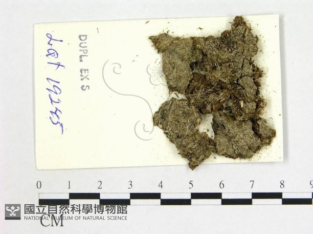 登錄號:F0004678藏品圖，第1張