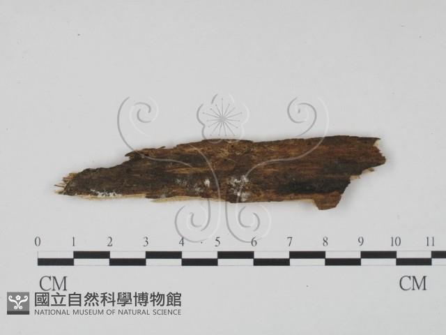 登錄號:F0007678藏品圖，第1張