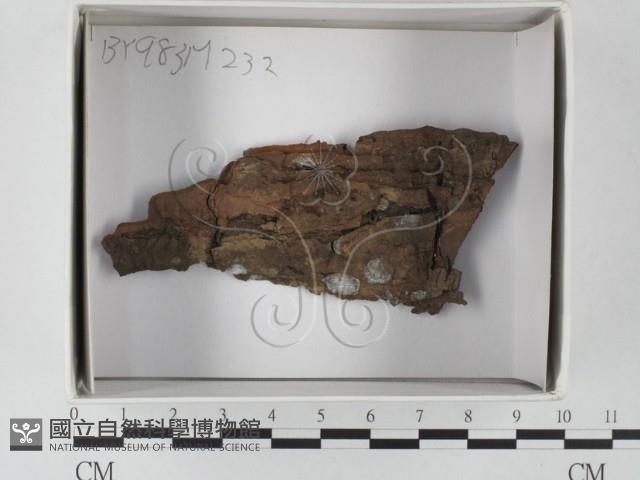 登錄號:F0018478藏品圖，第1張