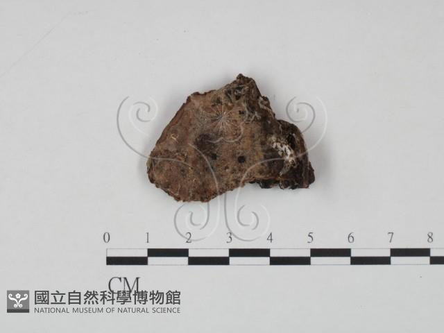 登錄號:F0006478藏品圖，第1張