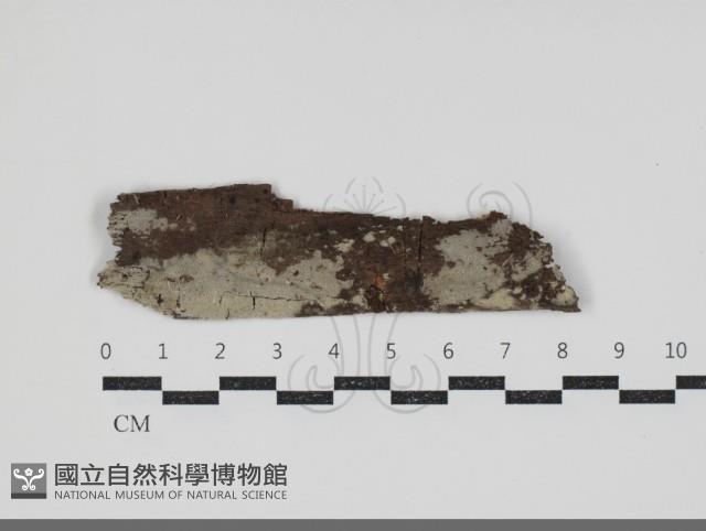 登錄號:F0034478藏品圖，第1張