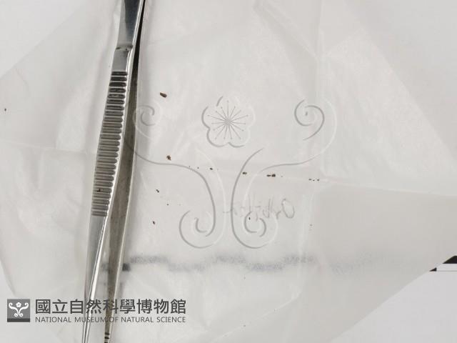 登錄號:F0020778藏品圖，第1張