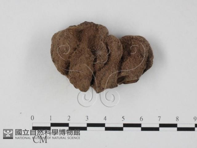 登錄號:F0025778藏品圖，第1張