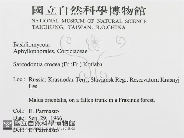 登錄號:F0015778藏品圖，第3張