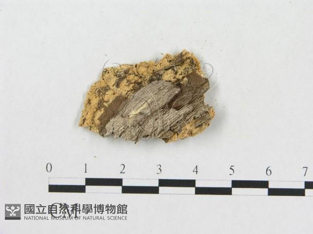 登錄號:F0006578藏品圖，第1張
