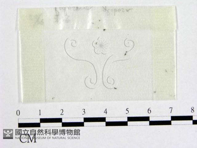 登錄號:F0002578藏品圖，第1張