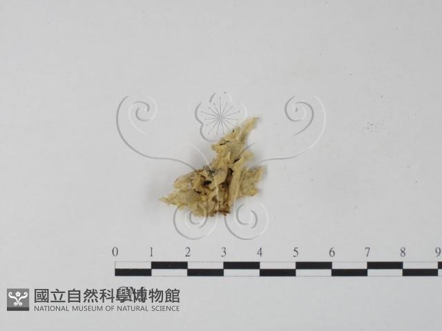 登錄號:F0007578藏品圖，第1張