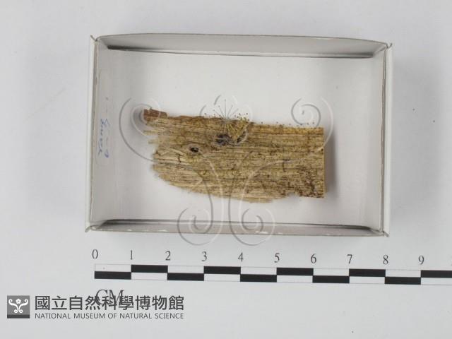 登錄號:F0021178藏品圖，第1張
