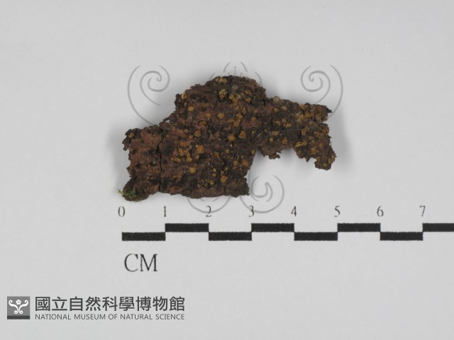 登錄號:F0031178藏品圖，第1張