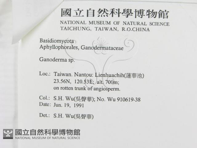 登錄號:F0015178藏品圖，第3張