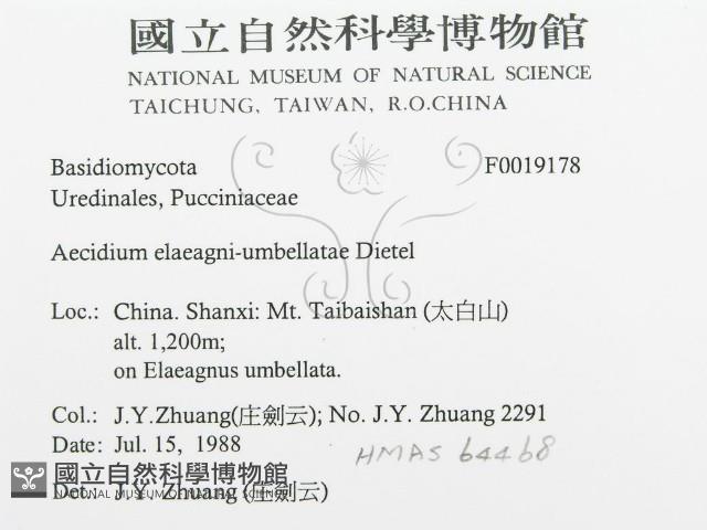 登錄號:F0019178藏品圖，第3張
