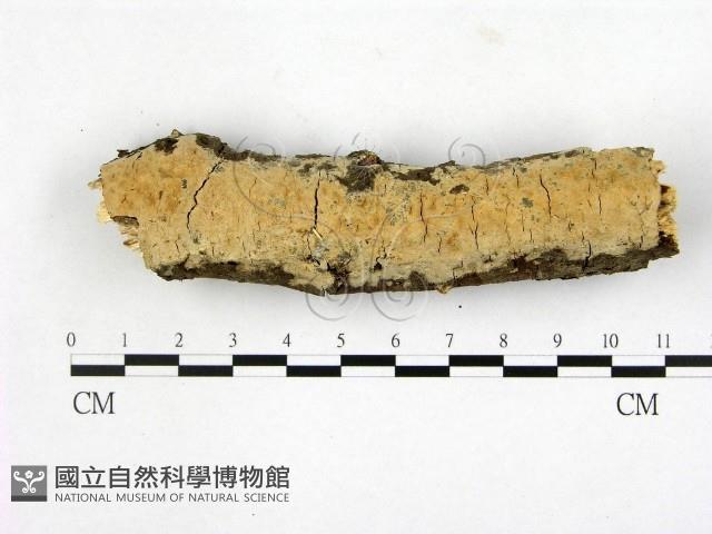 登錄號:F0010078藏品圖，第1張