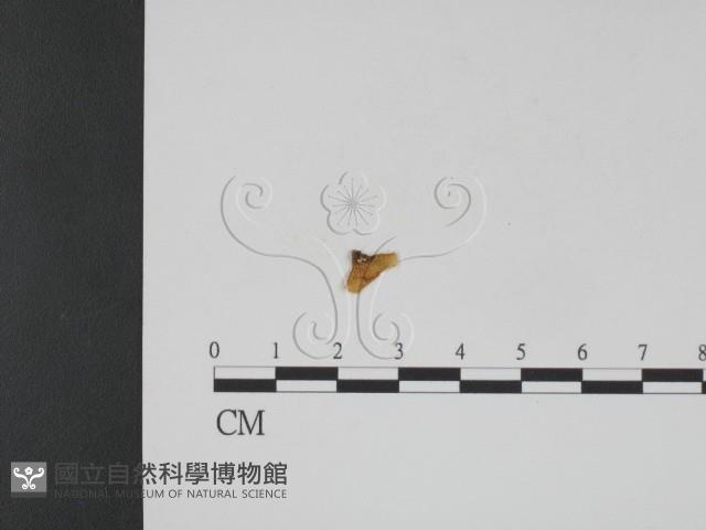 登錄號:F0001078藏品圖，第1張