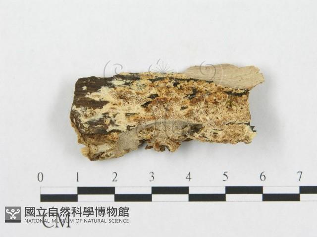 Accession Number:F0007078 Collection Image, Figure 1, Total 3 Figures