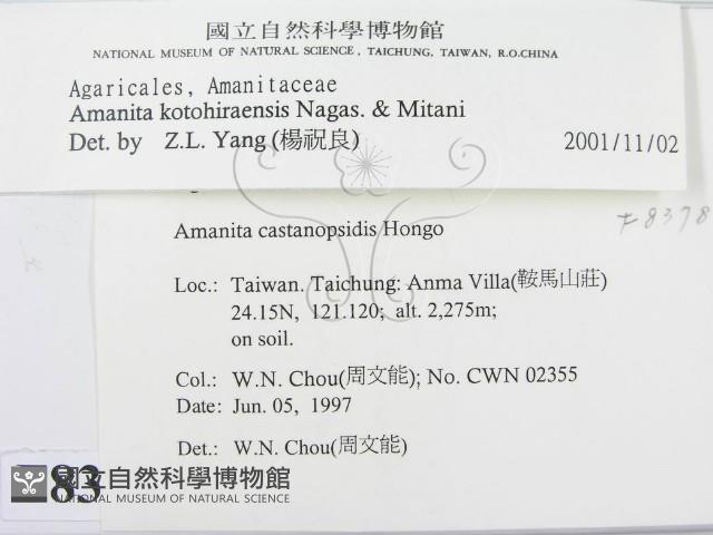 登錄號:F0008378藏品圖，第3張