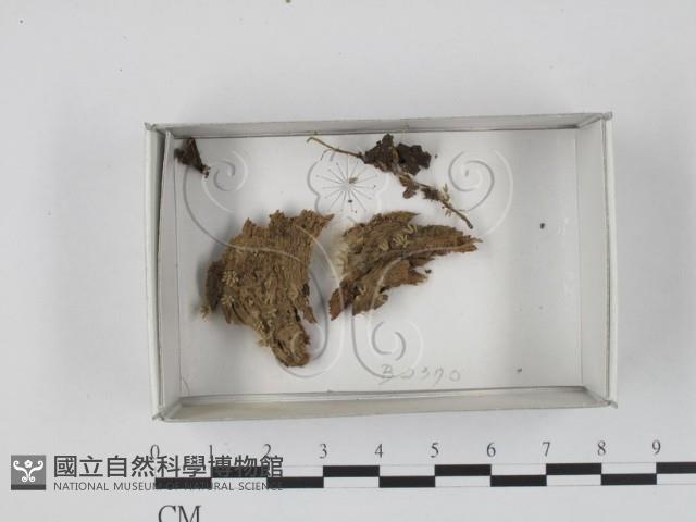 登錄號:F0018378藏品圖，第1張