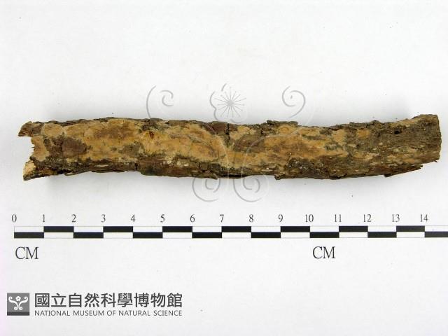登錄號:F0000378藏品圖，第1張