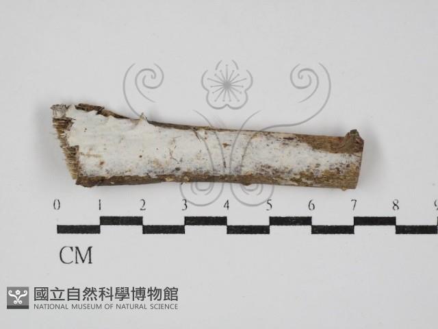 登錄號:F0030378藏品圖，第1張