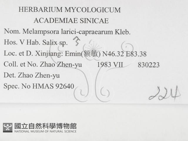 登錄號:F0026378藏品圖，第3張